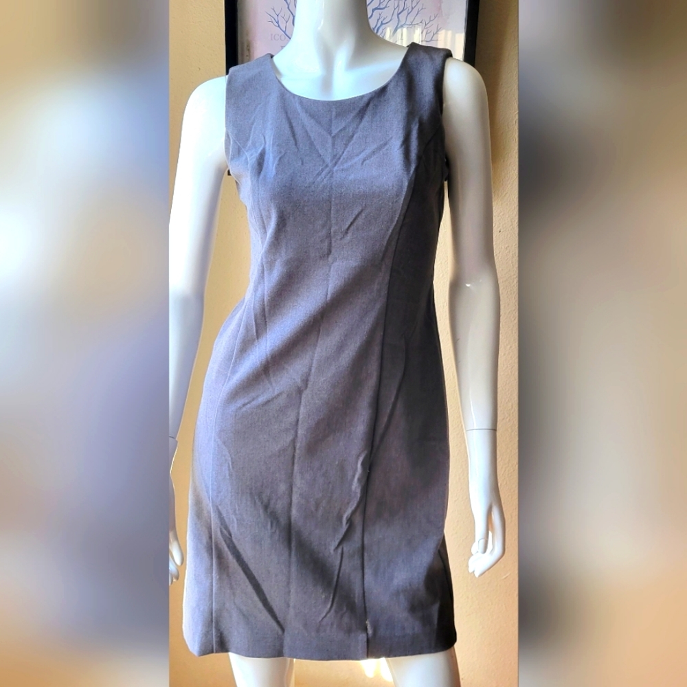 Briggs New York dress size 6p